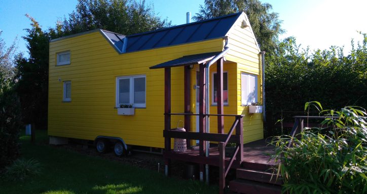 Tiny Löwenzahn Außdnansicht