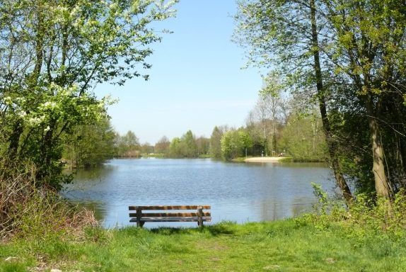 Tiny Löwenzahn Umgebung