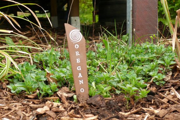 Tiny Löwenzahn Gelände