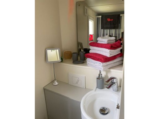 Tiny Löwenzahn Innenansichten