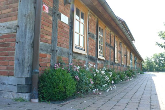 Tiny Löwenzahn Ausflugstipps